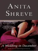 Cover of A Wedding in December by Anita Shreve