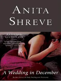 Cover of A Wedding in December by Anita Shreve